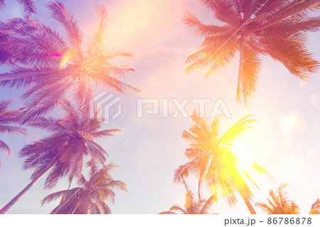 Copy space of silhouette tropical palm tree with sun light on sunset sky and cloud abstract background. Copy space of silhouette tropical palm tree with sun light on sunset sky and cloud abstract background. 86786878
