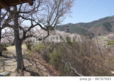 長野県上田市に切り立つ半過岩鼻は奇岩として有名なパワースポットです。千曲公園はこの上にあります。 長野県上田市に切り立つ半過岩鼻は奇岩として有名なパワースポットです。千曲公園はこの上にあります。 86787684