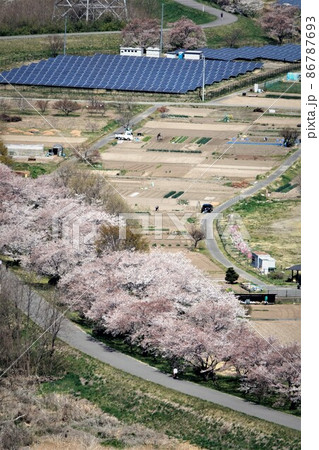 長野県上田市に切り立つ半過岩鼻は有名なパワースポットです。（桜と太陽光パネル） 86787693