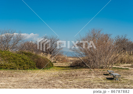 冬枯れの淀川河川公園 86787882