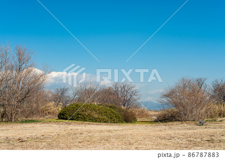 冬枯れの淀川河川公園 冬枯れの淀川河川公園 86787883