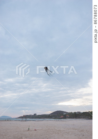 Scenic sea view. Beach activities, holidays, weekends on the seacoast, ocean view. Balloon in the form of a black octopus flies on the beach. Scenic sea view. Beach activities, holidays, weekends on the seacoast, ocean view. Balloon in the form of a black octopus flies on the beach. 86788073