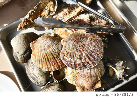 海鮮バーベキューの食材 海鮮バーベキューの食材 86788173