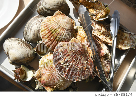 海鮮バーベキューの食材 海鮮バーベキューの食材 86788174