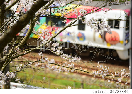 桜と列車 86788346