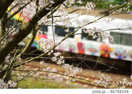 桜と列車 86788348
