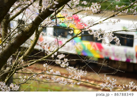 桜と列車 86788349