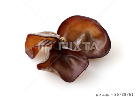 白い背景の上に置いたきくらげ 86788761