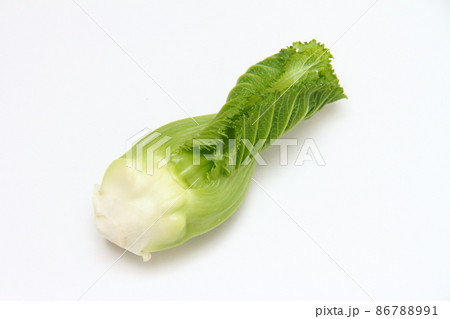 祝蕾04 祝蕾04 86788991