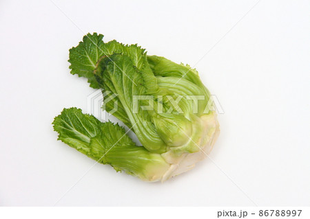 祝蕾10 祝蕾10 86788997