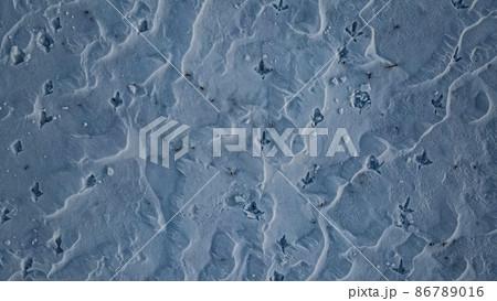 Animal tracks in the deep snow 86789016