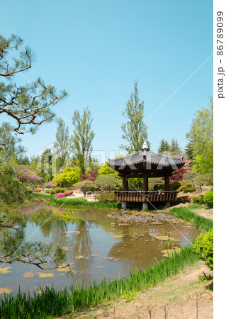 Bomun Tourist Complex, traditional pavilion and spring garden in Gyeongju, Korea Bomun Tourist Complex, traditional pavilion and spring garden in Gyeongju, Korea 86789099