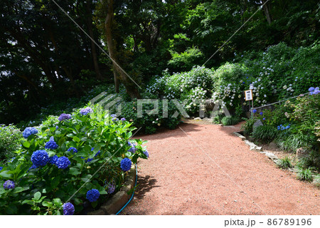 二本松寺へ行きました #74 二本松寺へ行きました #74 86789196