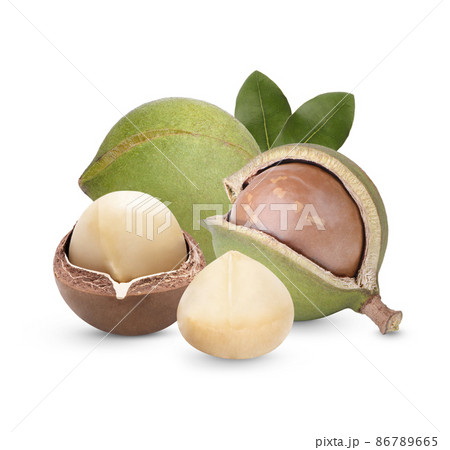 Macadamia nuts with leaves isolated on white background Macadamia nuts with leaves isolated on white background 86789665