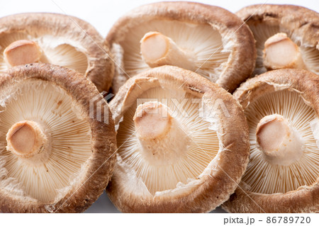 しいたけ(生椎茸)。 しいたけ(生椎茸)。 86789720