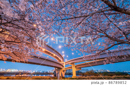 夜景「東京都」五色桜大橋と江北JCTの春の風景 夜景「東京都」五色桜大橋と江北JCTの春の風景 86789852