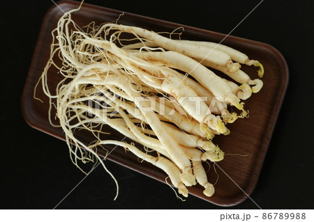 朝鮮人参 朝鮮人参 86789988