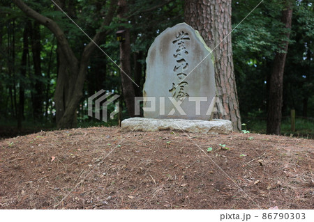 埼玉県新座市：緑の自然に囲まれた平林寺。歴史の古いお寺。 86790303