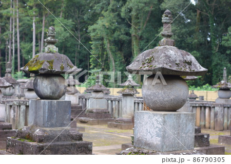 埼玉県新座市：緑の自然に囲まれた平林寺。歴史の古いお寺。 86790305