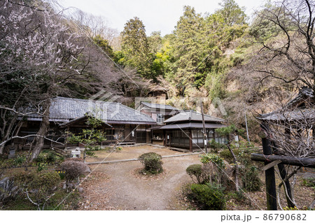 行道山　栃木百名山　登山道中　栃木県足利市 86790682