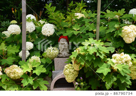 二本松寺へ行きました　　＃95 86790734