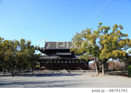 東寺・金堂 86791761