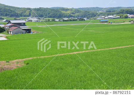 新緑の田舎の風景 86792151