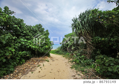 海に向かう小径 海に向かう小径 86793149