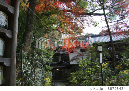 長岡天満宮 長岡天神 京都・長岡京 長岡天満宮 長岡天神 京都・長岡京 86793424