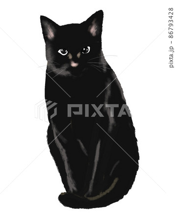黒猫(正面・座る)のイラスト素材 [86793428] - PIXTA