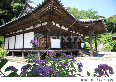 長保寺の紫陽花 86793939