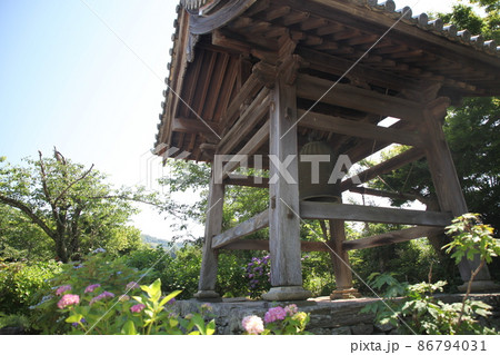 長保寺の紫陽花 長保寺の紫陽花 86794031