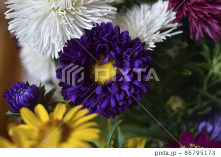 Colorful bouquet of garden flowers in the room Colorful bouquet of garden flowers in the room 86795173