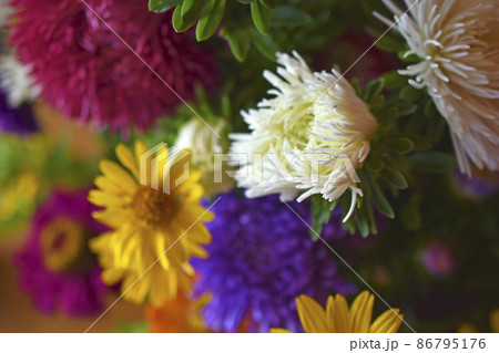 Colorful bouquet of garden flowers in the room Colorful bouquet of garden flowers in the room 86795176