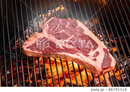アウトドアでステーキ Beef steak grilled outdoors at camp  アウトドアでステーキ Beef steak grilled outdoors at camp  86795318