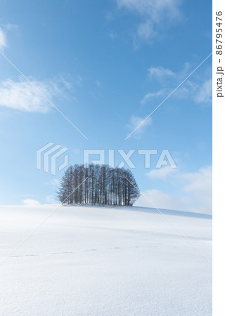 冬の北海道美瑛町 青空と白い雲と銀世界に映えるマイルドセブンの木 冬の北海道美瑛町 青空と白い雲と銀世界に映えるマイルドセブンの木 86795476