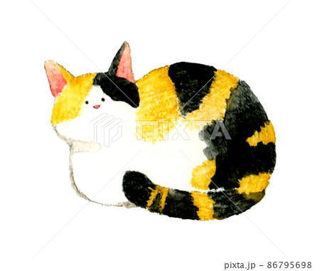 猫のかわいい手描き水彩イラスト 座る(香箱座りをする)三毛猫 猫のかわいい手描き水彩イラスト 座る(香箱座りをする)三毛猫 86795698
