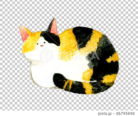 猫のかわいい手描き水彩イラスト 座る(香箱座りをする)三毛猫 猫のかわいい手描き水彩イラスト 座る(香箱座りをする)三毛猫 86795698