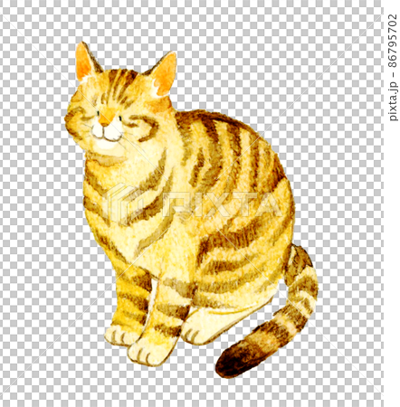 Cute hand-painted watercolor illustration of a cat, a sitting tea tabby cat seen from diagonally above Cute hand-painted watercolor illustration of a cat, a sitting tea tabby cat seen from diagonally above 86795702