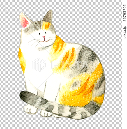 猫のかわいい手描き水彩イラスト　座って振り返る三毛猫 86795705