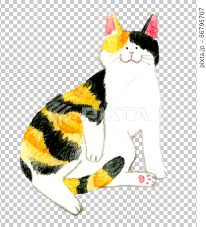 一隻貓的可愛手繪水彩插圖，一隻躺著放鬆的印花布貓 86795707