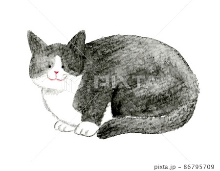 猫のかわいい手描き水彩イラスト 座る（しゃがむ）グレーのハチワレ猫