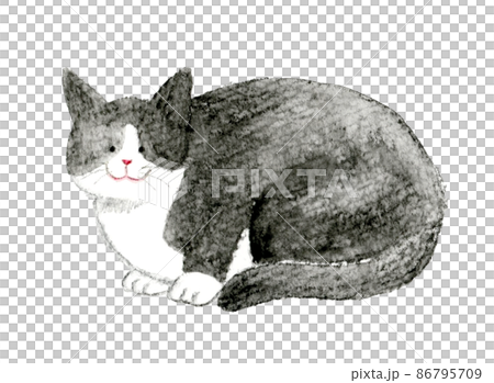 Cute hand-painted watercolor illustration of a cat, a gray bee cat that sits (squats) 86795709