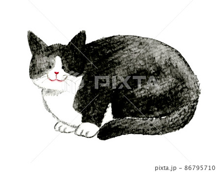 猫のかわいい手描き水彩イラスト 座る しゃがむ 白黒ハチワレ猫のイラスト素材