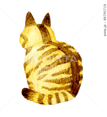 猫のかわいい手描き水彩イラスト　座る茶トラ猫の後ろ姿 86795719