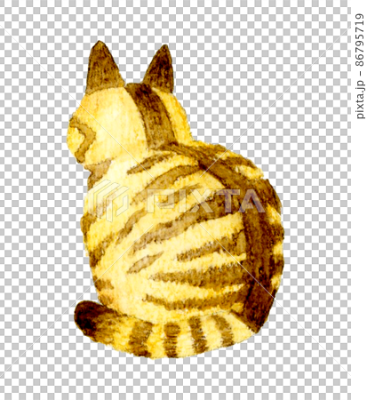 猫のかわいい手描き水彩イラスト　座る茶トラ猫の後ろ姿 86795719