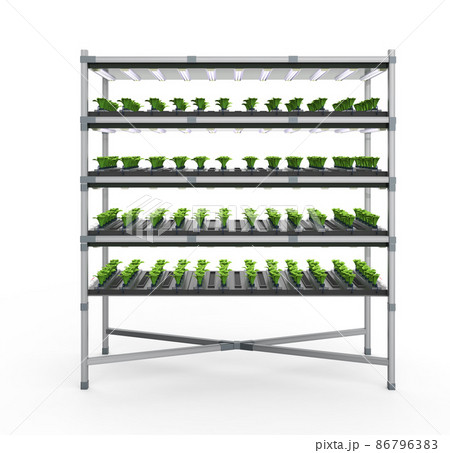 indoor farm system raised plants on shelves growth with led light 86796383