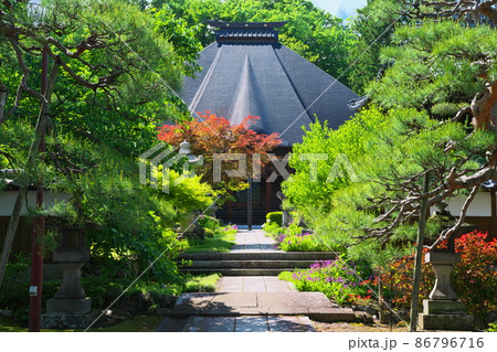 奥信濃に遅い春の訪れ 新緑に映える古刹の本堂 中野市西迎寺 奥信濃に遅い春の訪れ 新緑に映える古刹の本堂 中野市西迎寺 86796716