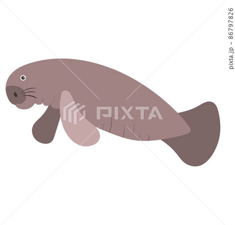 Beautiful cartoon illustration with colorful sea animals manatees on white background for print design. Kid graphic. Sea underwater life. Vector isolated hand drawing. 86797826