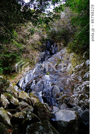 西伊豆町　大沢里　恵の滝 86798229